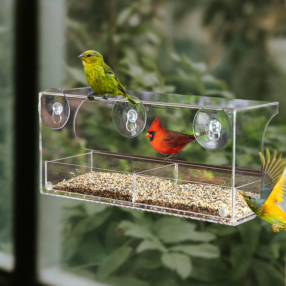 Transparent Acrylic Window Bird Feeder with Secure Suction Cups
