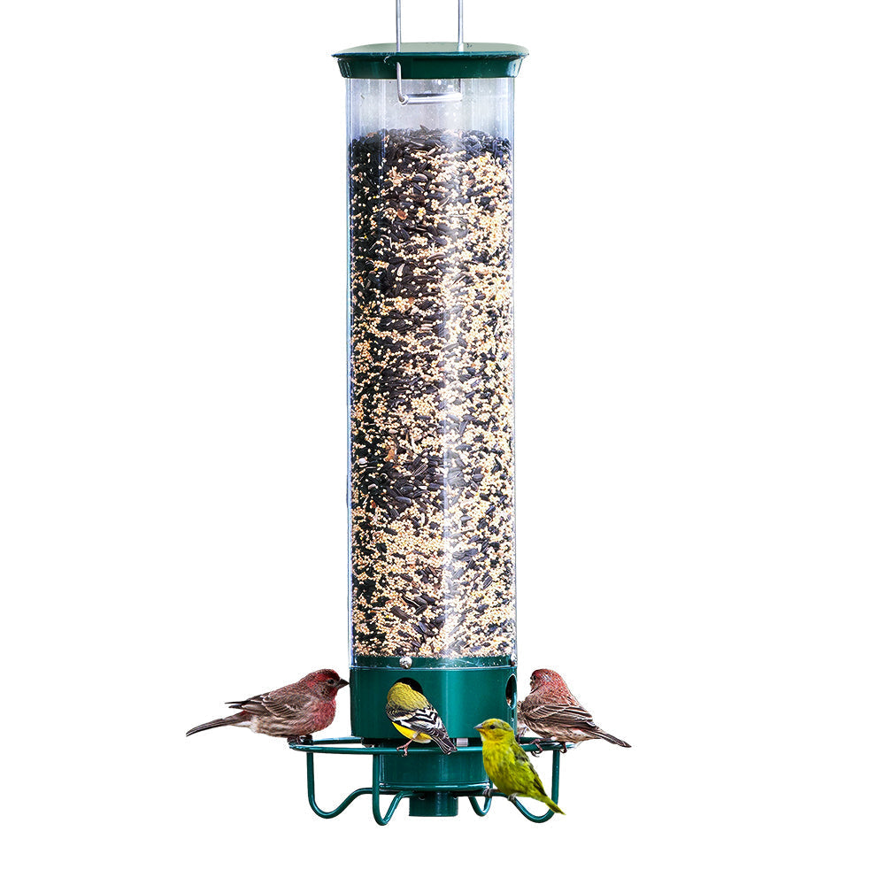 Wild Bird Feeder with Weighted Swivel Perch, Squirrel-Resistant