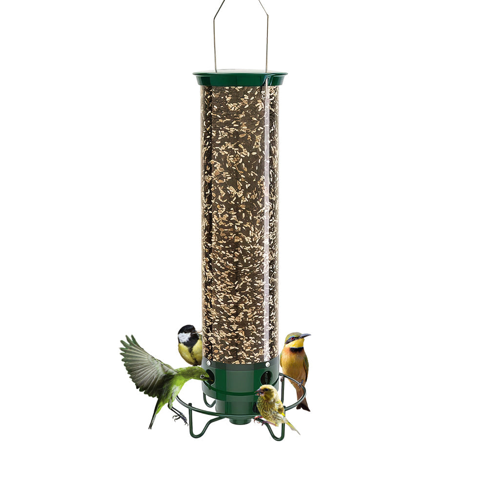 Wild Bird Feeder with Weighted Swivel Perch, Squirrel-Resistant