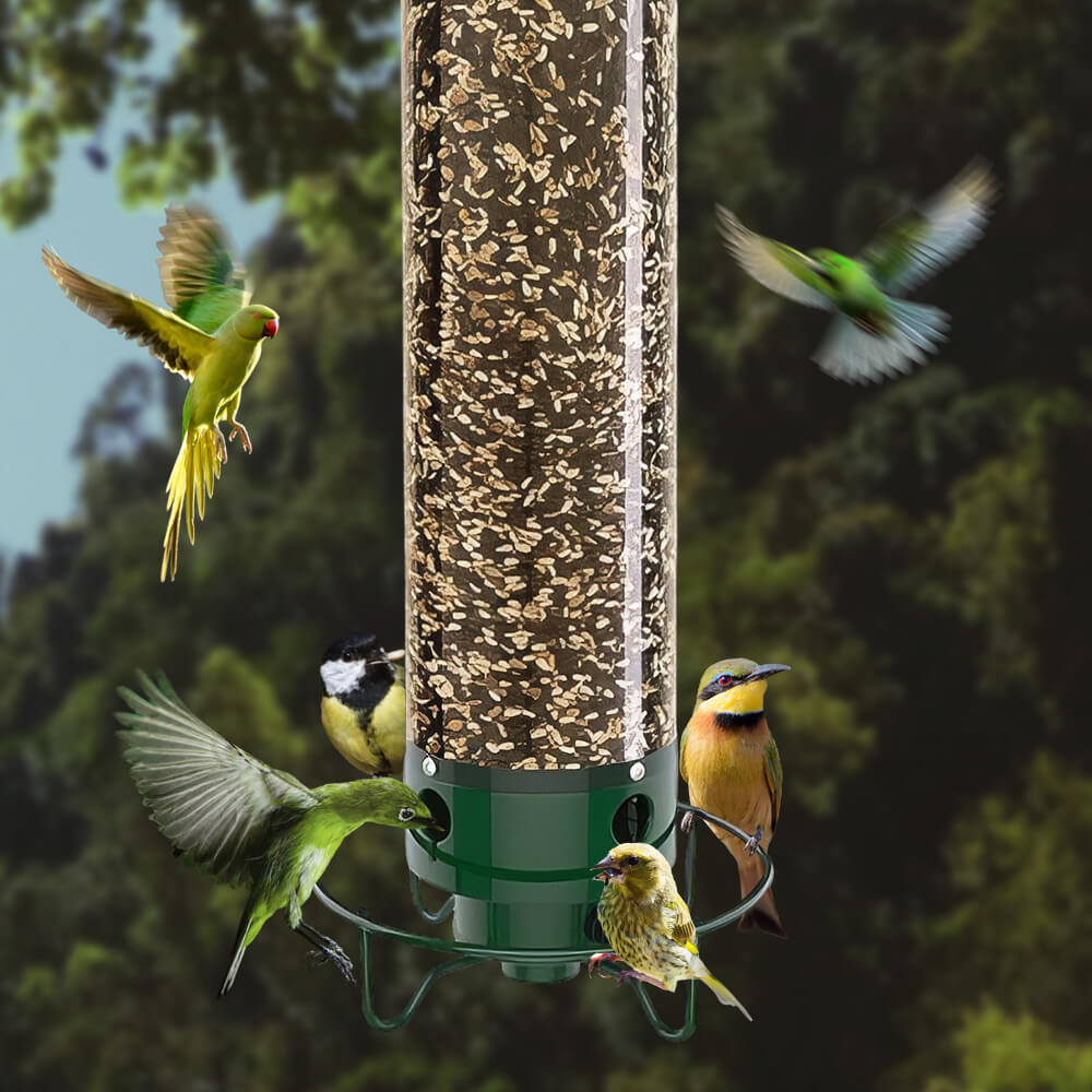 Wild Bird Feeder with Weighted Swivel Perch, Squirrel-Resistant