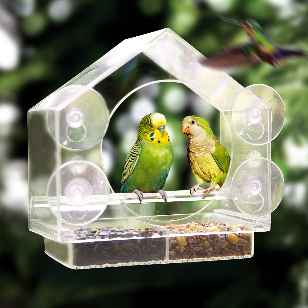 Transparent Acrylic Window Bird Feeder with Secure Suction Cups