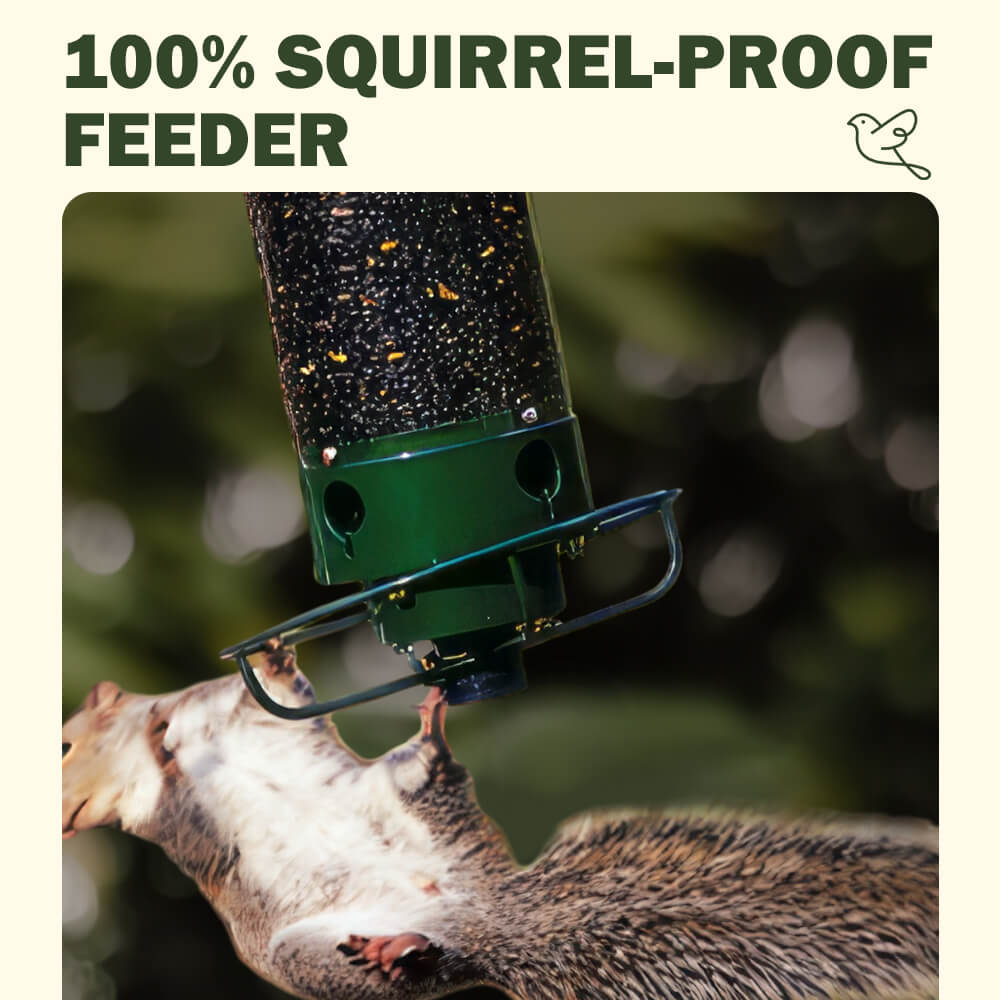 Wild Bird Feeder with Weighted Swivel Perch, Squirrel-Resistant