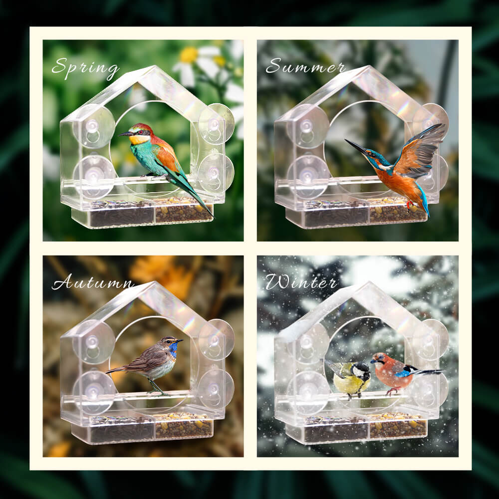Transparent Acrylic Window Bird Feeder with Secure Suction Cups