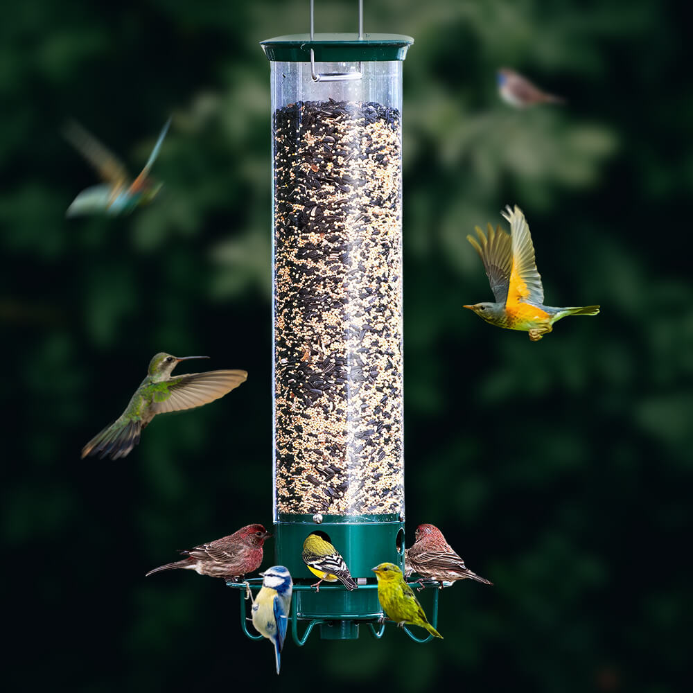 Wild Bird Feeder with Weighted Swivel Perch, Squirrel-Resistant