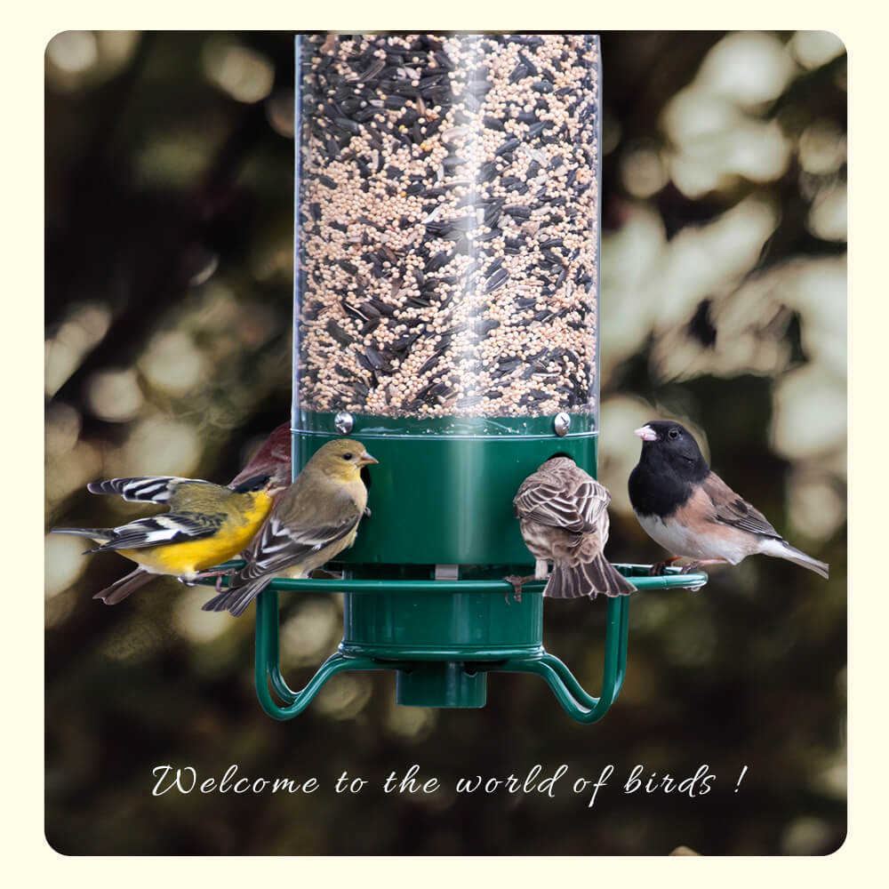 Wild Bird Feeder with Weighted Swivel Perch, Squirrel-Resistant