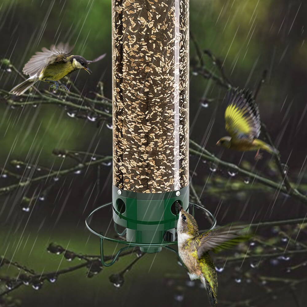 Wild Bird Feeder with Weighted Swivel Perch, Squirrel-Resistant