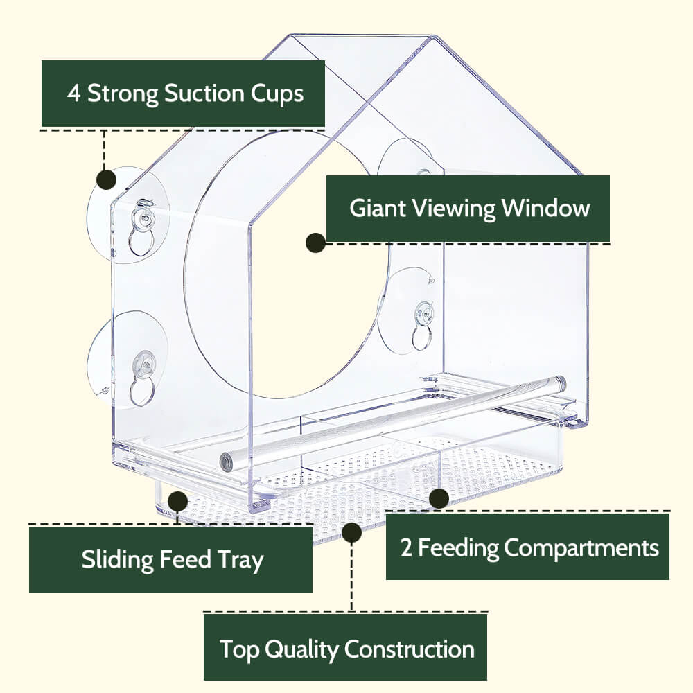 Transparent Acrylic Window Bird Feeder with Secure Suction Cups